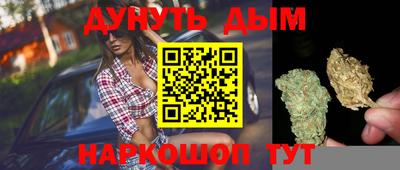 прущие грибы Брянск