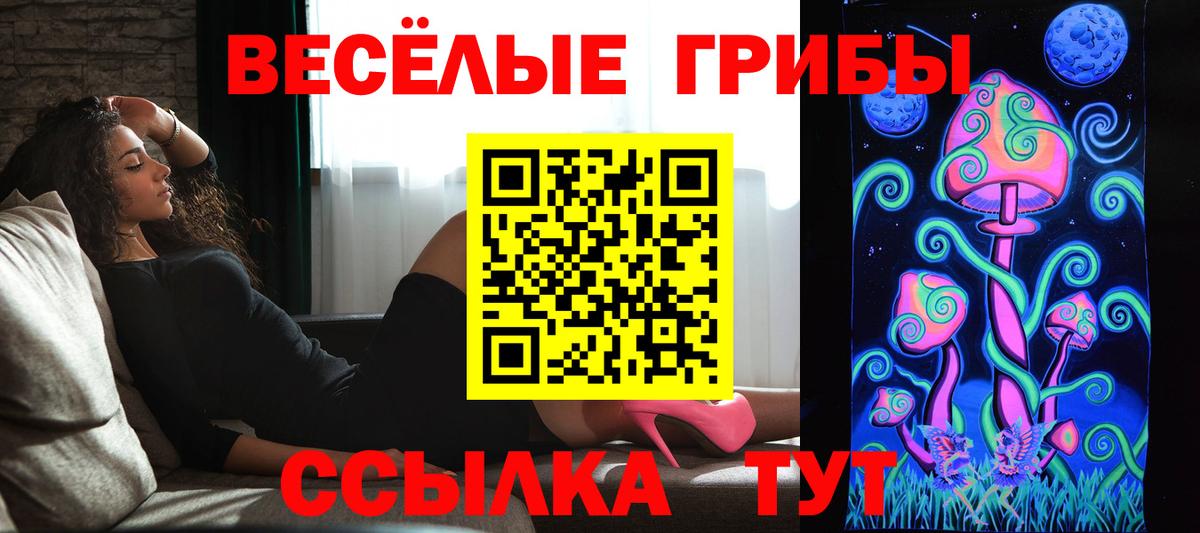 Видное  Псилоцибиновые грибы ЛСД  Псилоцибиновые грибы Psilocybe  Вход с VPN 